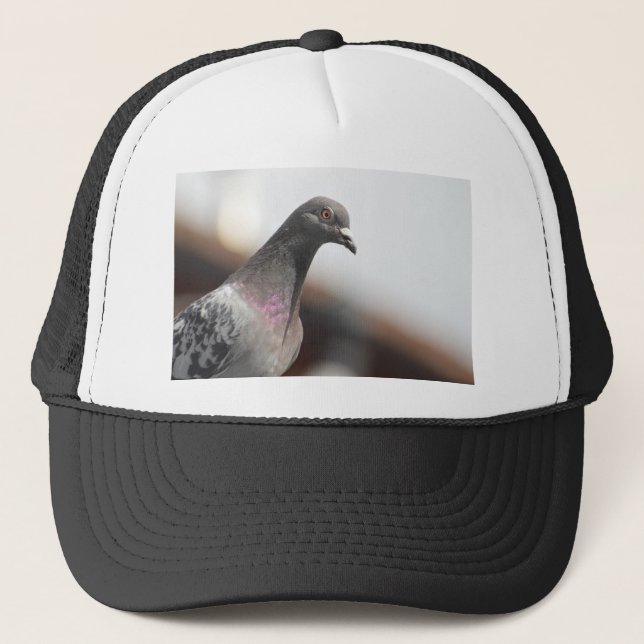 Gorra De Camionero Paloma de Carreras (Anverso)