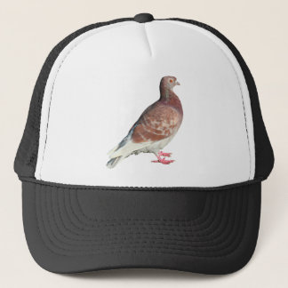 Gorra De Camionero Paloma roja (aislado)