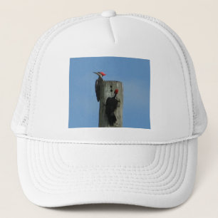 Gorra De Camionero Panceta perenne