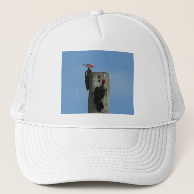 Gorra De Camionero Panceta perenne (Anverso)