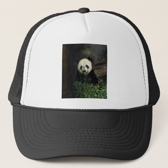 Gorra De Camionero Panda (Anverso)