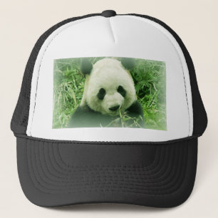 Gorra De Camionero Panda