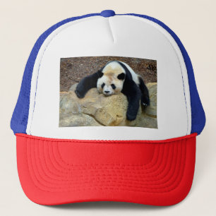 Gorra De Camionero Panda gigante durmiente cayó sobre una roca