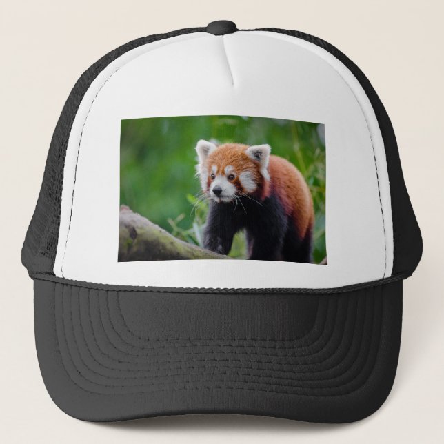 Gorra De Camionero Panda roja (Anverso)