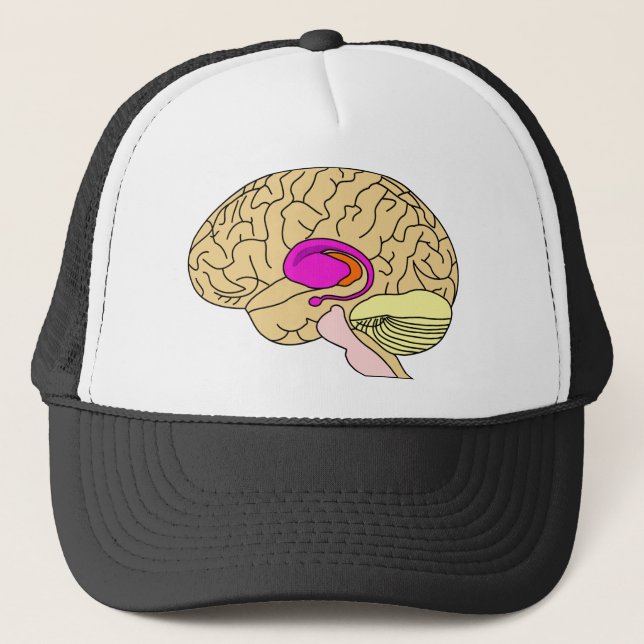 Gorra de camionero para programa de realidad disca (Anverso)