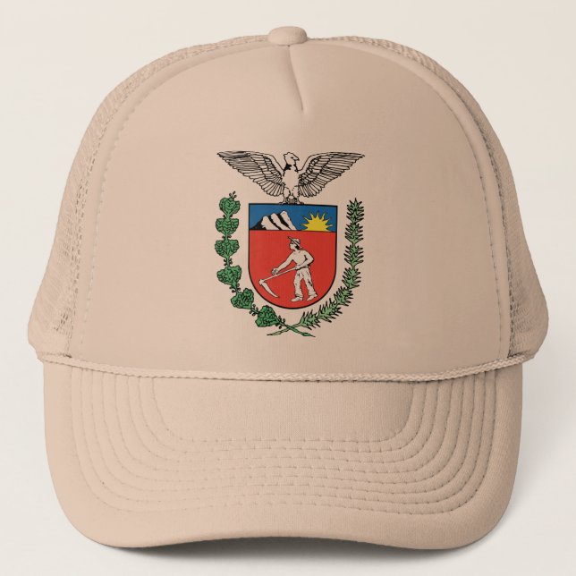 Gorra De Camionero Paraná, el Brasil (Anverso)