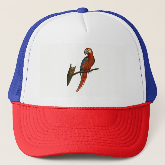 Gorra De Camionero Paro (Anverso)