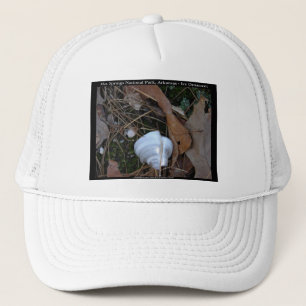 Gorra De Camionero Parque nacional Hot Springs, AR - Regalos de ornam