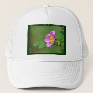 Gorra De Camionero Parque Nacional Hot Springs, AR Regalos Wild Rose