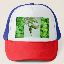 Gorra De Camionero Parsley Black Swallowtail