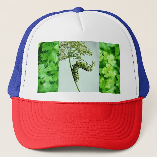 Gorra De Camionero Parsley Black Swallowtail (Anverso)