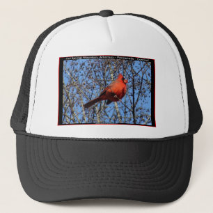 Gorra De Camionero Paseo de la Montaña Hot Springs Regalos Cardinal
