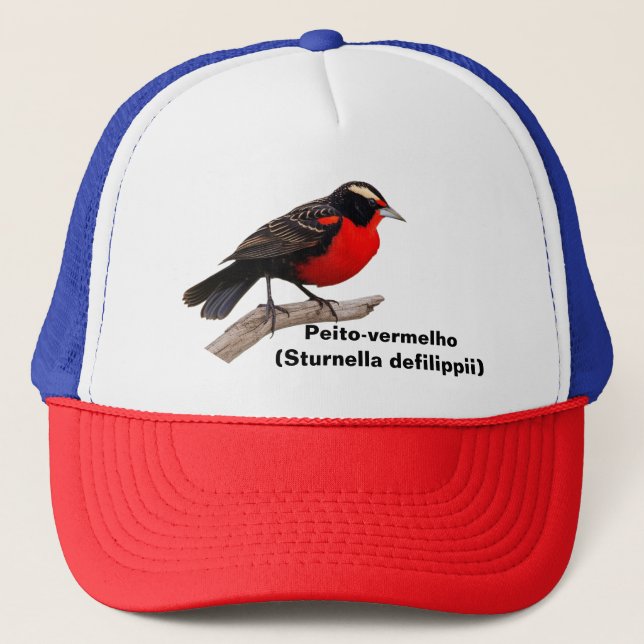 Gorra De Camionero Pássaro peito-vermelho-grande (Sturnella defilipp) (Anverso)