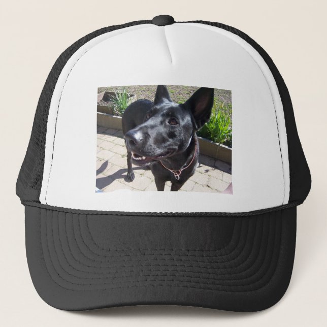 Gorra De Camionero Pastor alemán negro de la laca (Anverso)