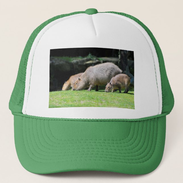 Gorra De Camionero Pastoreo de Capybaras (Anverso)