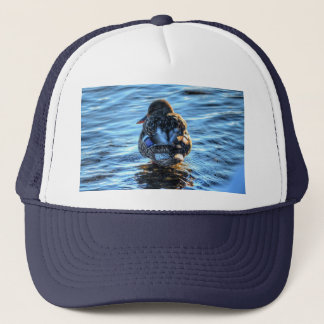Gorra De Camionero Pato Mallard en río Invierno - Foto de vida silves