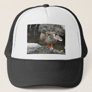 Gorra De Camionero Pato marrón lindo