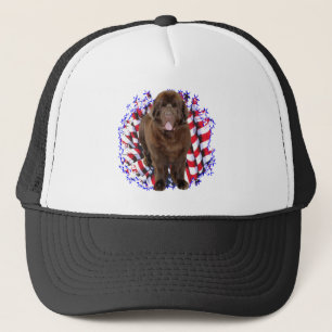 Gorra De Camionero Patriota de Terranova (marrón)