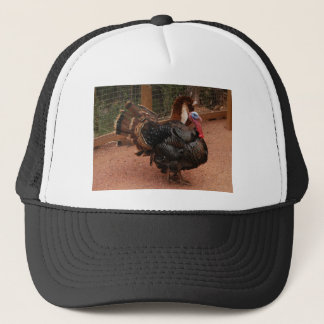 Gorra De Camionero pavo, acción de gracias