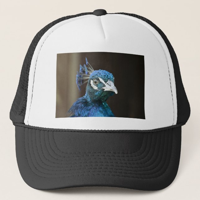 Gorra De Camionero pavo real (Anverso)