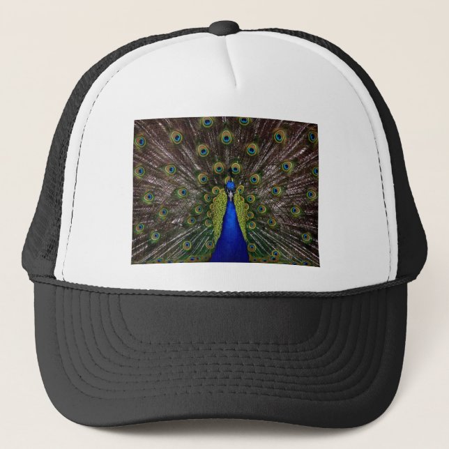 Gorra De Camionero Peacock (Anverso)