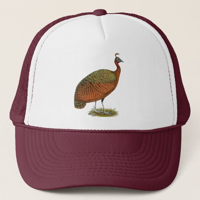 Gorra De Camionero Peafowl: Congo Peahen (Anverso)