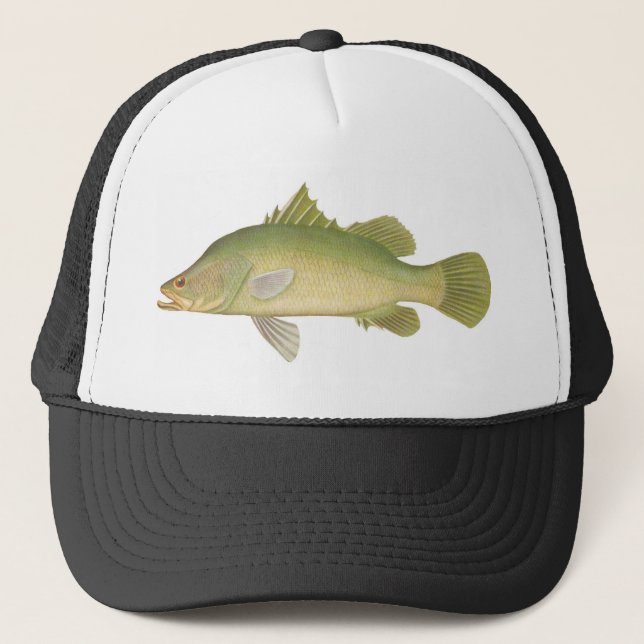 Gorra De Camionero Peces - Barramundi - Lates calcarifer (Anverso)