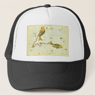 Gorra De Camionero Peces, Espejo de Urania de constelación vintage