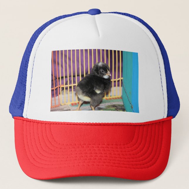 Gorra De Camionero Peep (Anverso)