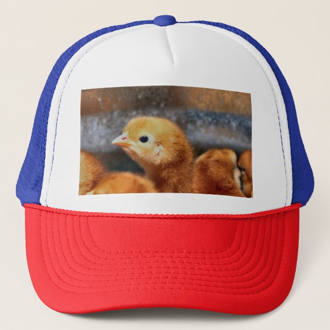 Gorra De Camionero Peep peep (Anverso)