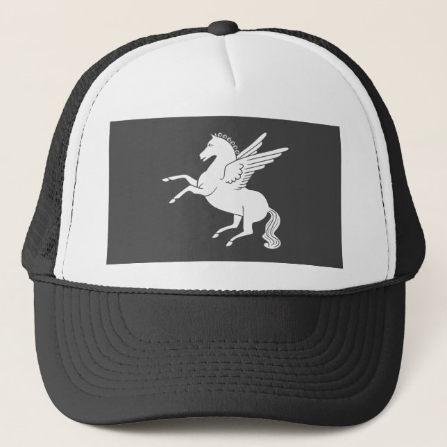 Gorra De Camionero Pegasus (Anverso)