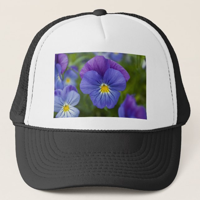 Gorra De Camionero Pensamiento púrpura (Anverso)