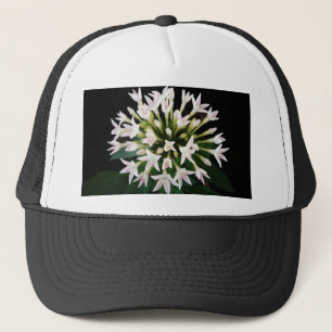 Gorra De Camionero Pentas blancas