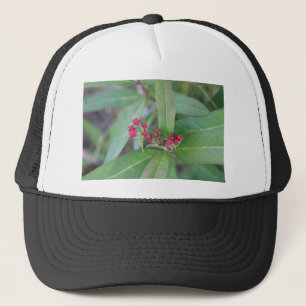 Gorra De Camionero Pequeños brotes de primavera