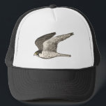 Gorra De Camionero Peregrine Falcon Colour Pencil Art<br><div class="desc">Mira este impresionante ilustracion de lápiz de un halcón peregrino y prepárate para algo de velocidad! ¡Mira también mi tienda para más diseños!</div>