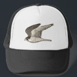 Gorra De Camionero Peregrine Falcon Colour Pencil Art<br><div class="desc">Mira este impresionante ilustracion de lápiz de un halcón peregrino y prepárate para algo de velocidad! ¡Mira también mi tienda para más diseños!</div>