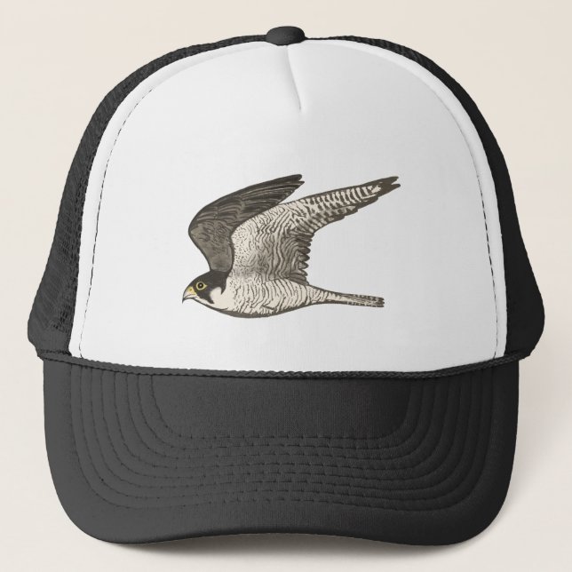 Gorra De Camionero Peregrine Falcon Colour Pencil Art (Anverso)