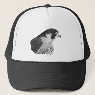 Gorra De Camionero Peregrine Falcon-Pencil
