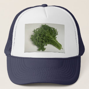 Gorra De Camionero Perejil delicioso
