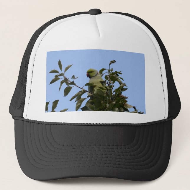 Gorra De Camionero Periquito verde (Anverso)