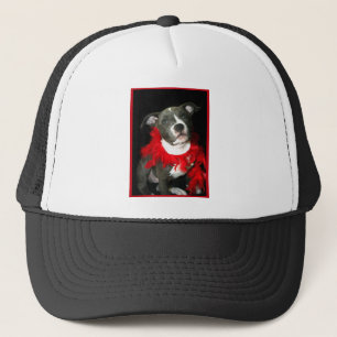 Gorra De Camionero Perrito azul de Pitbull