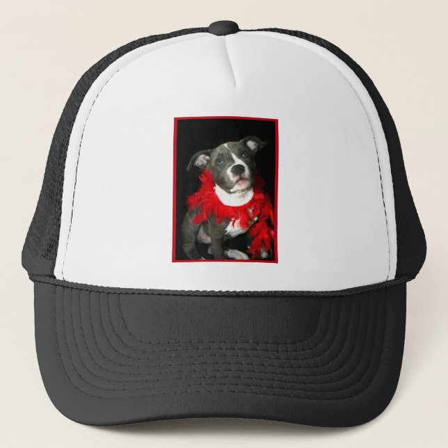 Gorra De Camionero Perrito azul de Pitbull (Anverso)