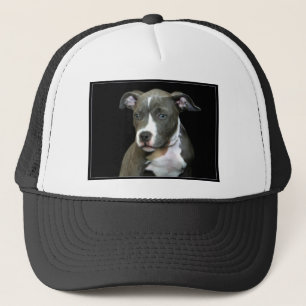 Gorra De Camionero Perrito azul de Pitbull