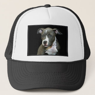 Gorra De Camionero Perrito azul de Pitbull