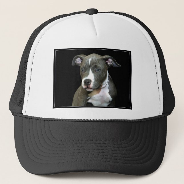 Gorra De Camionero Perrito azul de Pitbull (Anverso)