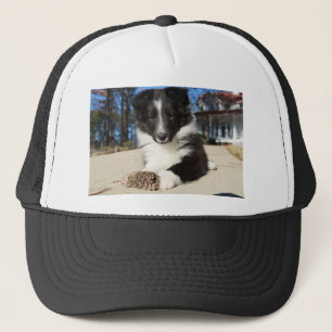 Gorra De Camionero perrito blanco y negro de la SHP del shet
