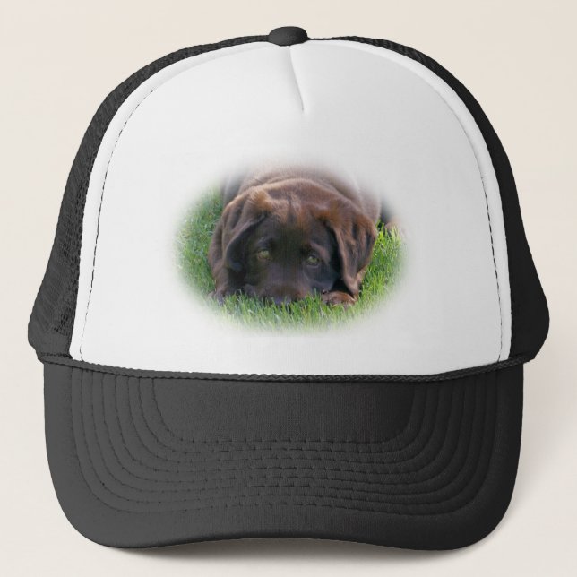 Gorra De Camionero Perrito del laboratorio del chocolate (Anverso)