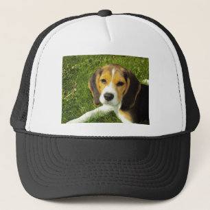 Gorra De Camionero Perro Beagle Animales Domésticos Paz Amor