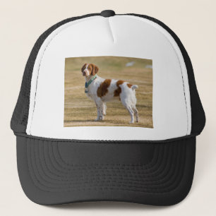Gorra De Camionero Perro de aguas de Bretaña