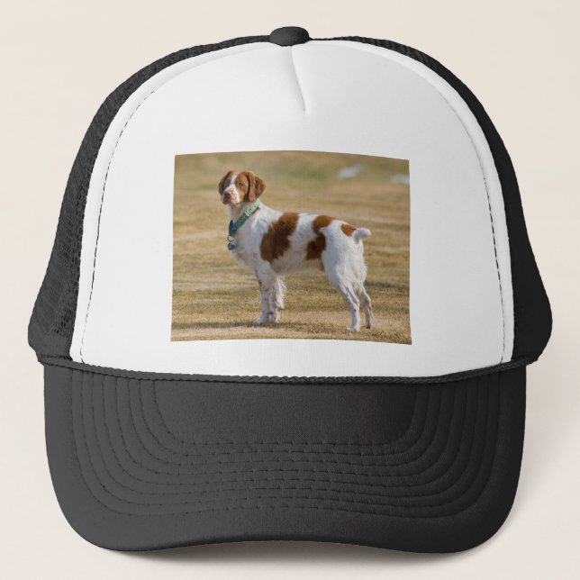 Gorra De Camionero Perro de aguas de Bretaña (Anverso)